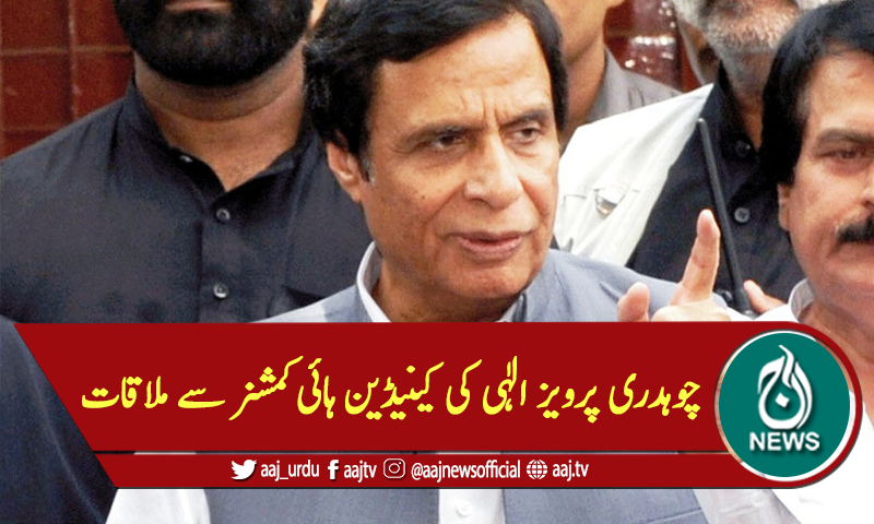 چوہدری پرویز الٰہی کی کینیڈین ہائی کمشنر سے ملاقات