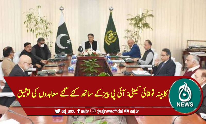 کابینہ توانائی کمیٹی: آئی پی پیزکے ساتھ کئے گئے معاہدوں کی توثیق