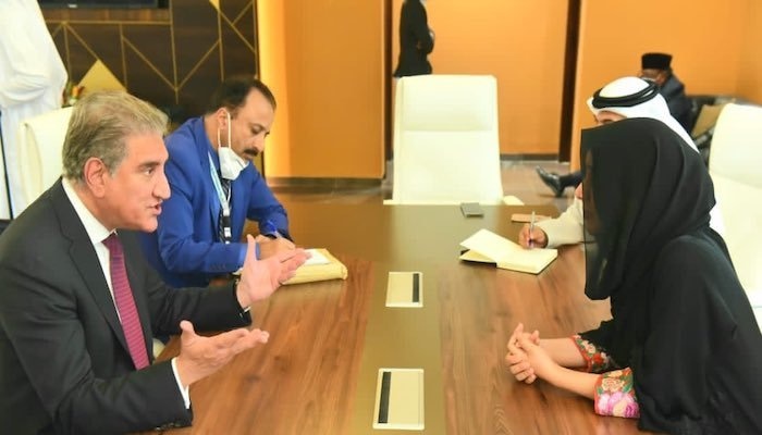 FM Qureshi meets UAE minister, discusses visa issue for Pakistanis