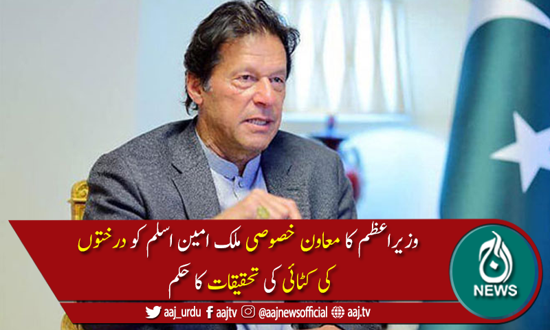 وزیراعظم  نے دیامر اور گلگت میں درختوں کی کٹائی کا نوٹس لے لیا