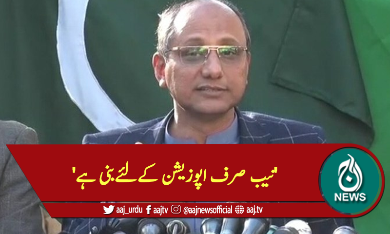 'نیب صرف اپوزیشن کےلئےبنی ہے'