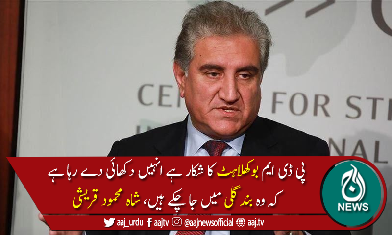 پی ڈی ایم جلسے ضرورکرے لیکن وقت کی نزاکت کوپیش نظررکھے،وزیرخارجہ