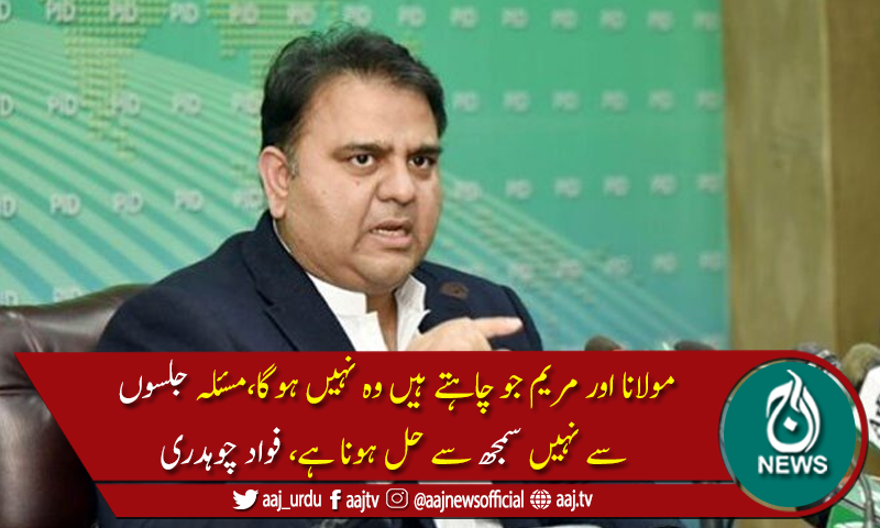 اسپیکر سے بات ہوئی ان کے مطابق استعفے صرف میڈیا پر چل رہے ہیں،فواد چوہدری