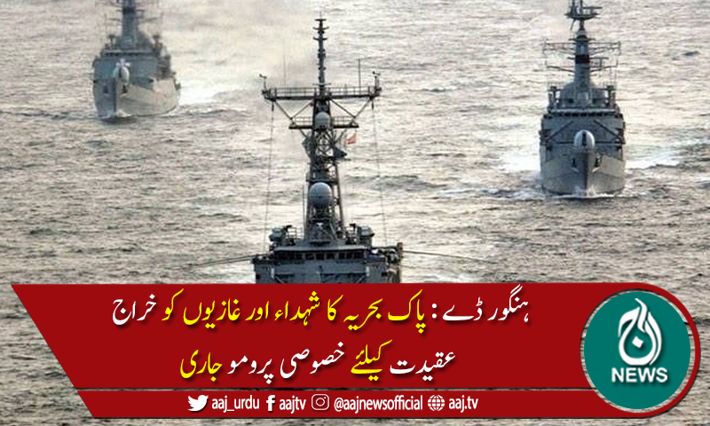 پاک بحریہ  نے ہنگور ڈے کے موقع پر خصوصی پرومو جاری کردیا