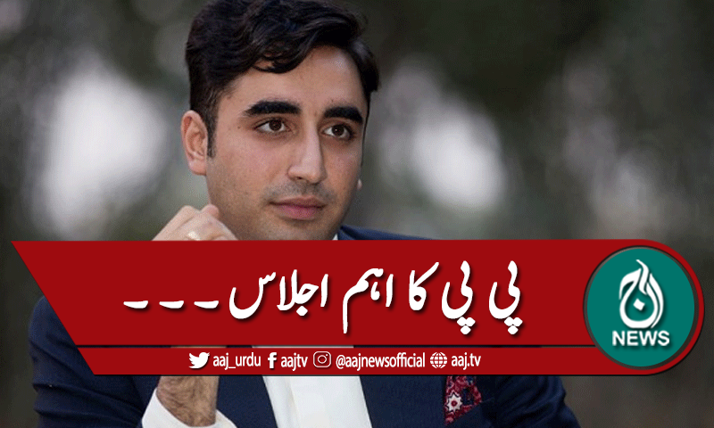 پی پی اجلاس، اسمبلیوں سے استعفے پر تبادلہ خیال