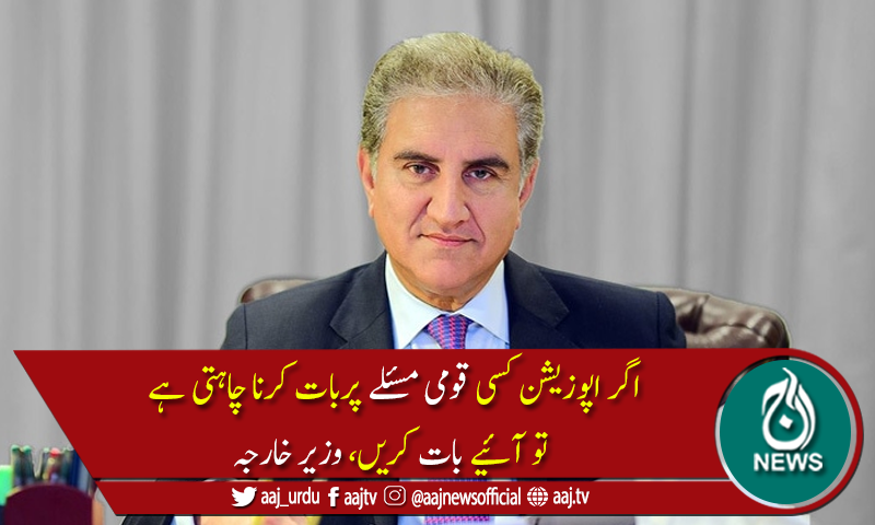 وزیرخارجہ شاہ محمود قریشی نے اپوزیشن کو مذاکرات کی دعوت دے دی