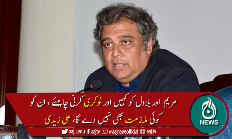 2 خراب ذہن والد کی لوٹی دولت کو بچانے کی کوشش کررہے ہیں،علی زیدی