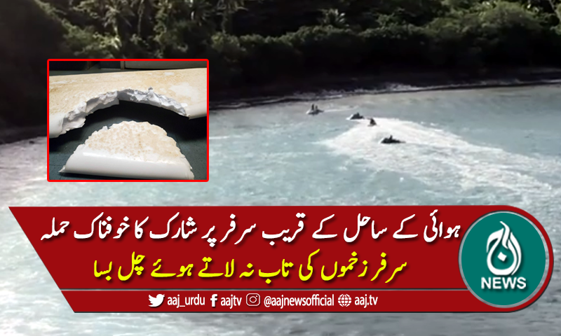 سرفر پر شارک کا خوفناک حملہ، زخموں کی تاب نہ لاتے ہوئے چل بسا