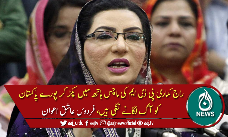 ڈوبتی کشتی سے لوگوں نے چھلانگیں لگانا شروع کر دی ہیں، فروس عاشق اعوان