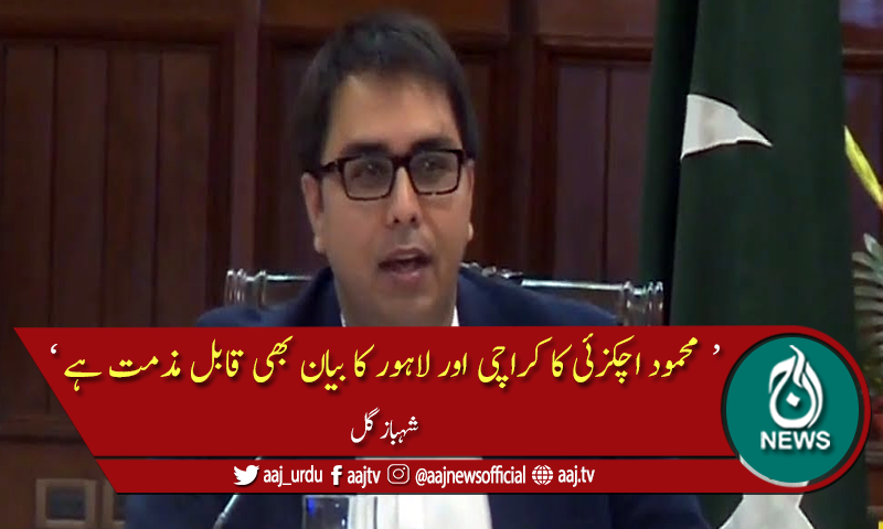 مولانا فضل الرحمان کی گالم گلوچ کی مذمت کرتے ہیں، شہباز گل