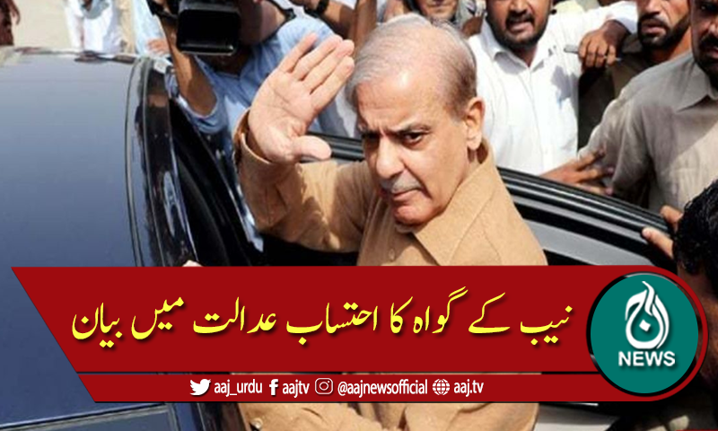 1988 سے 1990 تک شہباز شریف کے تنخواہ نہ لینے کی تصدیق