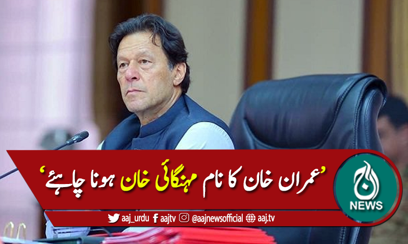 'دنیا میں سستا ترین تیل مل رہا تھا لیکن پاکستان محروم رہا'