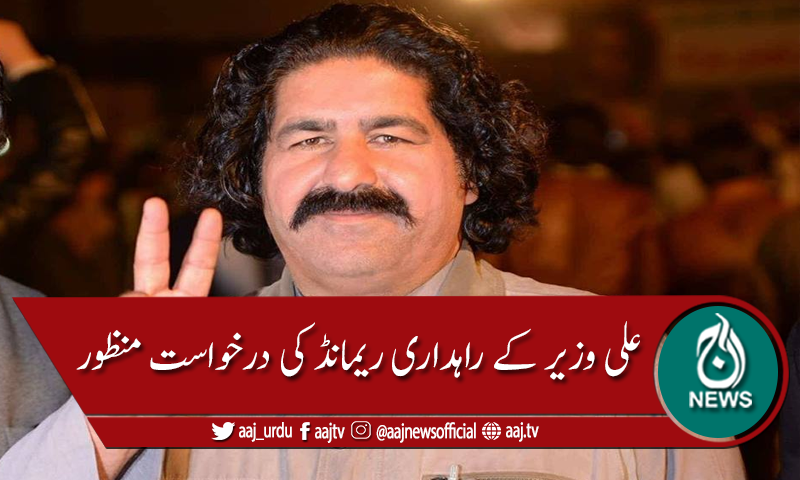 علی وزیر کے راہداری ریمانڈ کیلئے سندھ پولیس کی درخواست منظور