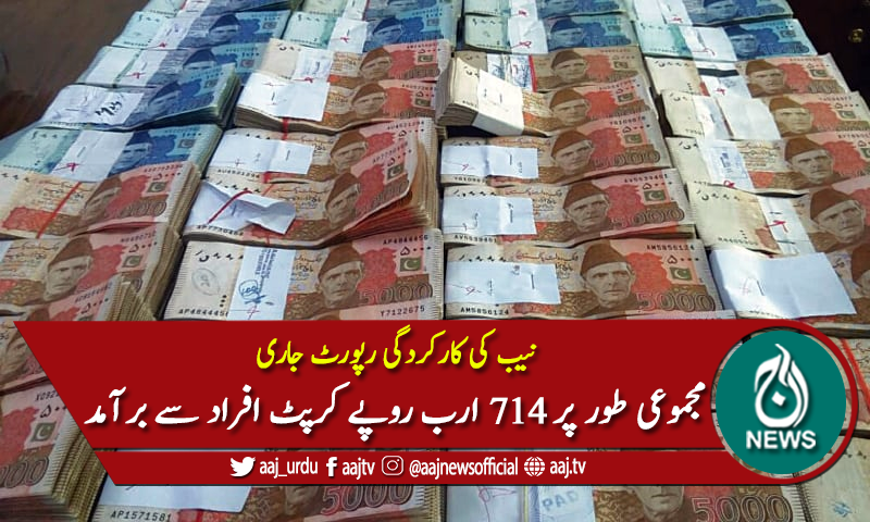 قومی احتساب بیورو نے کارکردگی رپورٹ جاری کردی