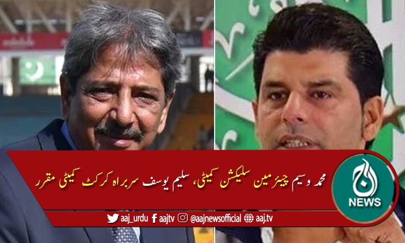 محمد وسیم چیئرمین سلیکشن کمیٹی اور سلیم یوسف سربراہ کرکٹ کمیٹی مقرر