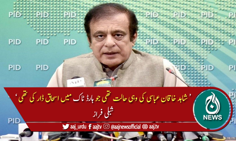 پی ڈی ایم جھوٹ کا سہارا لے کر عوام میں مایوسی پھیلا رہی ہے، شبلی فراز