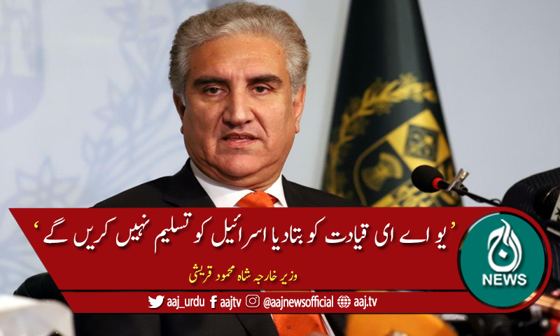 مسئلہ فلسطین کے حل تک اسرائیل کو تسلیم نہیں کریں گے، شاہ محمود