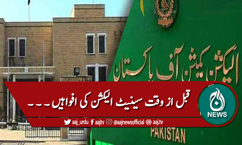 سینیٹ : قبل از وقت الیکشن کی قیاس آرائیاں مسترد