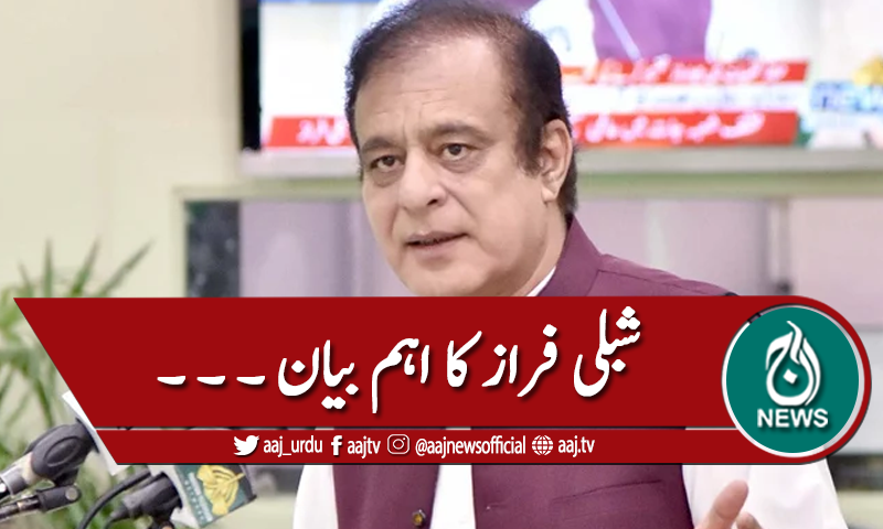 'فیٹف پر اپوزیشن نے ذاتی شرائط پیش کیں'