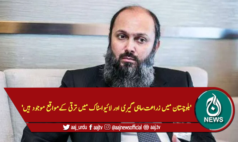 'بلوچستان میں زراعت،ماہی گیری اور لائیواسٹاک میں ترقی کےمواقع موجود ہیں'