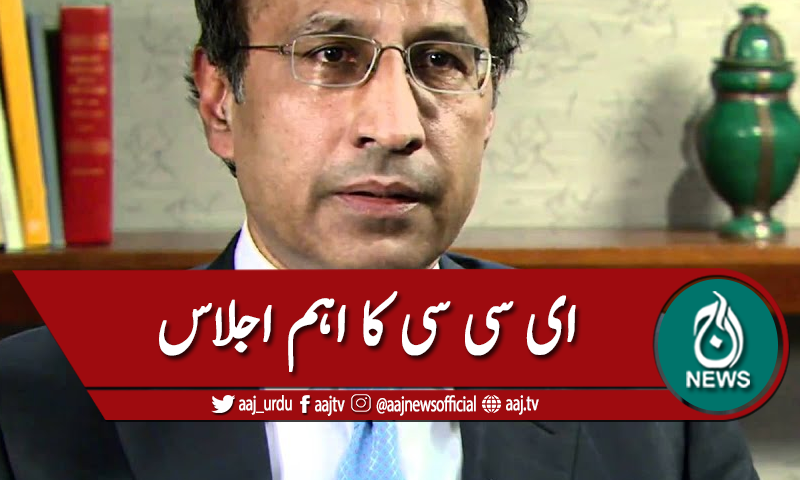 ای سی سی اجلاس، مہمند اور دیامر بھاشا ڈیم، یورو بانڈز کی منظوری