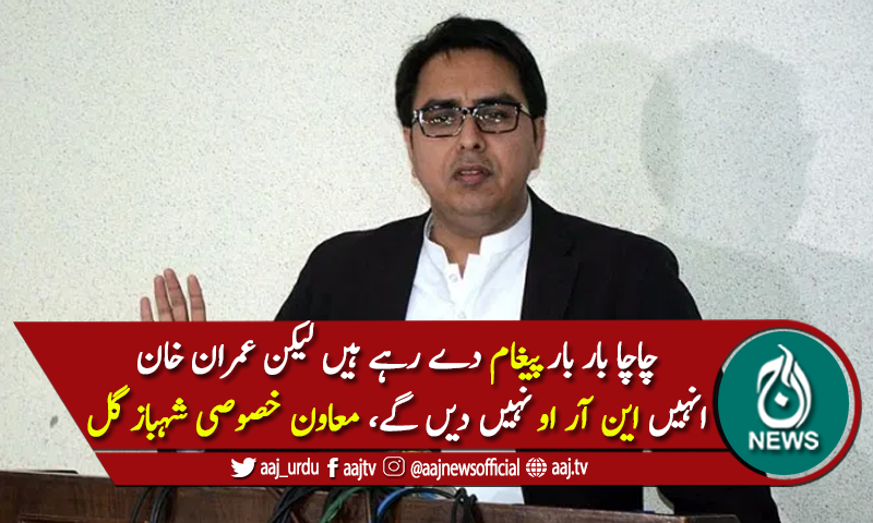 چاچا بار بار پیغام دےرہے ہیں، لیکن این آر او نہیں ملےگا، شہباز گل