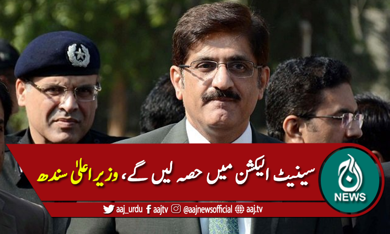 'سینیٹ الیکشن میں حصہ لیں گے، میدان خالی نہیں چھوڑیں گے'