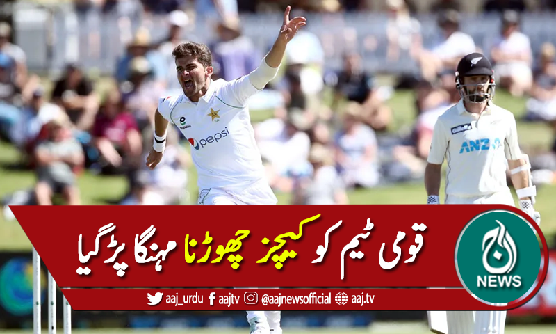 کیوی کھلاڑیوں کے کیچز چھوڑنا قومی ٹیم کو مہنگا پڑگیا