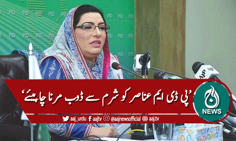 'پی ڈی ایم عناصر کو شرم سے ڈوب مرنا چاہیئے'