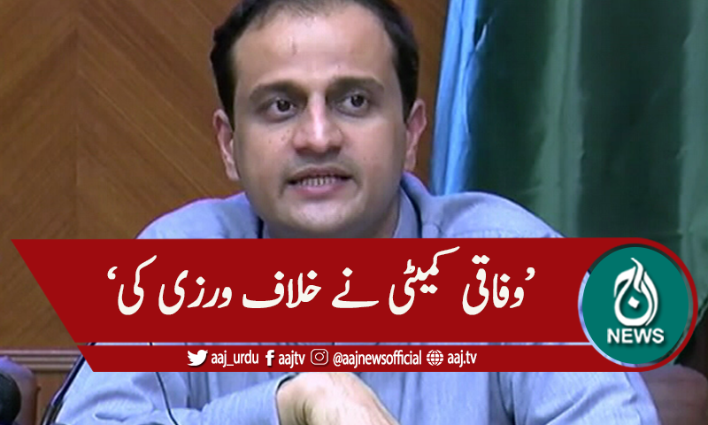 'مردم شماری پر وفاقی کمیٹی نے خلاف ورزی کی'