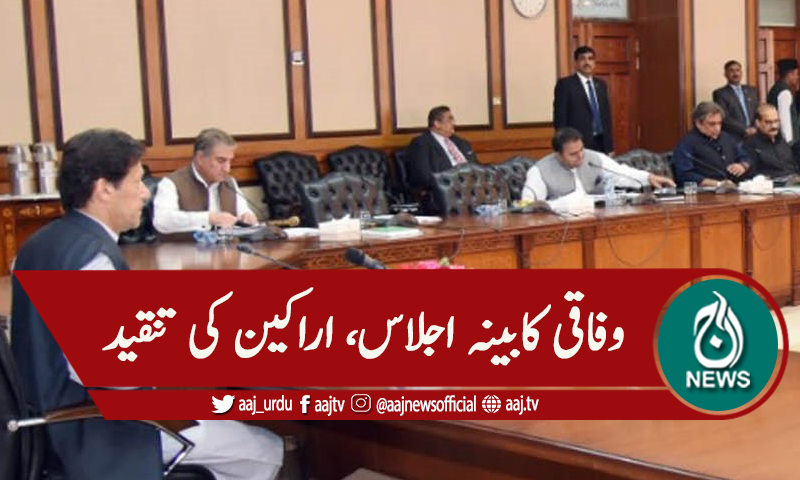 وفاقی کابینہ اجلاس، اندرونی کہانی، اراکین کی حفیظ شیخ پر تنقید