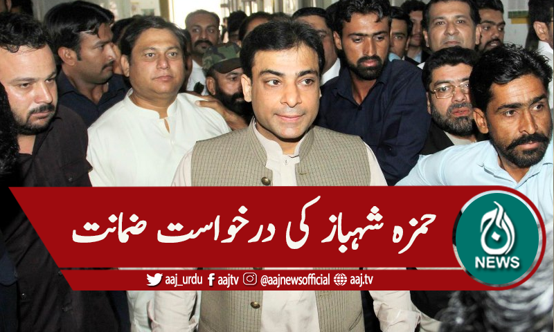 آمدن سے زائد اثاثہ جات کیس، حمزہ شہباز کی درخواست ضمانت دائر