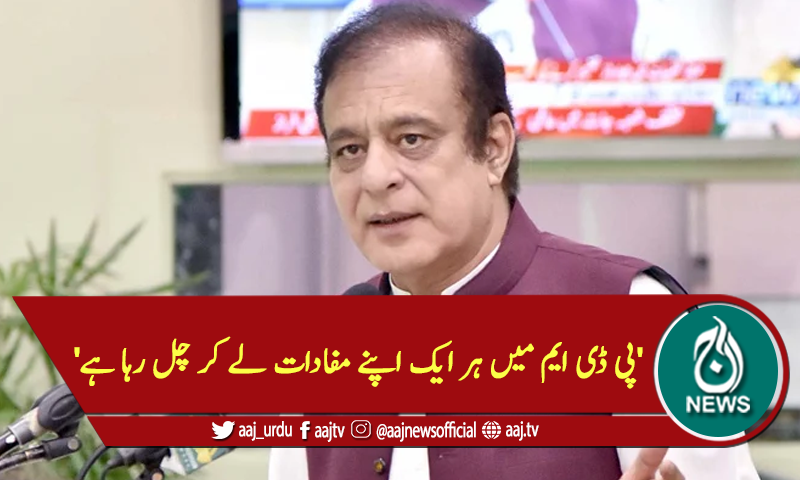 'پی ڈی ایم میں ہر ایک اپنے مفادات لے کر چل رہا ہے'