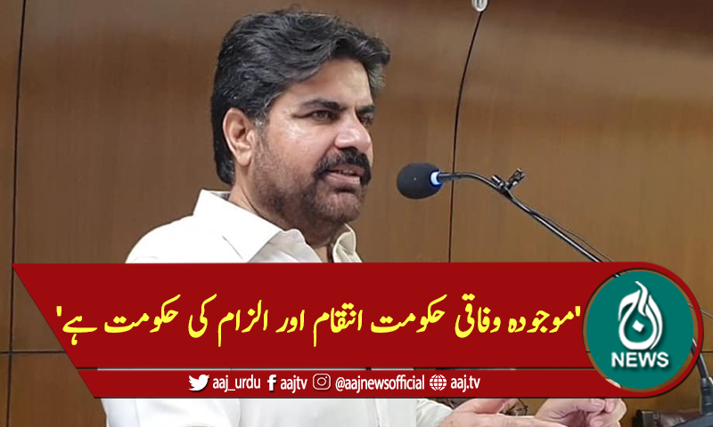 'موجودہ وفاقی حکومت انتقام اور الزام کی حکومت ہے'