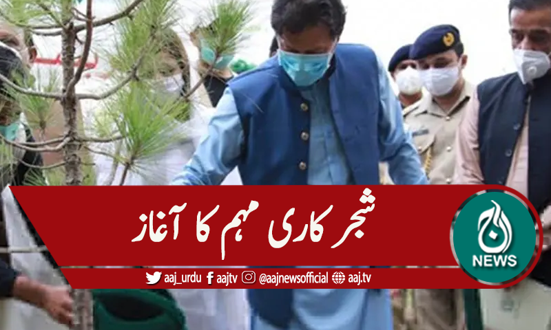 ملک میں شجرکاری مہم کا آغاز