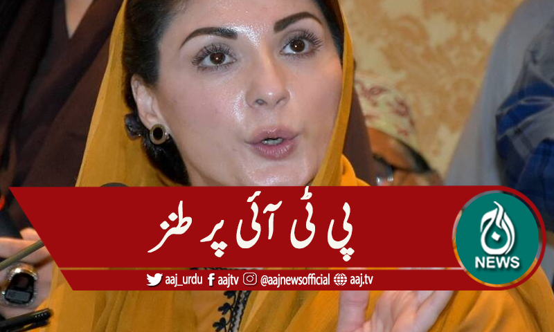 'اب الیکشن کمیشن نے چوری پکڑی تو اپیلیں کررہے ہو'پی ٹی آئی پر طنز