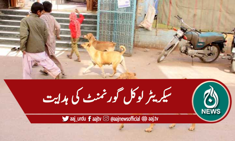 سندھ بھر میں کتا مار مہم شروع کرنیکی حکمت عملی تیار