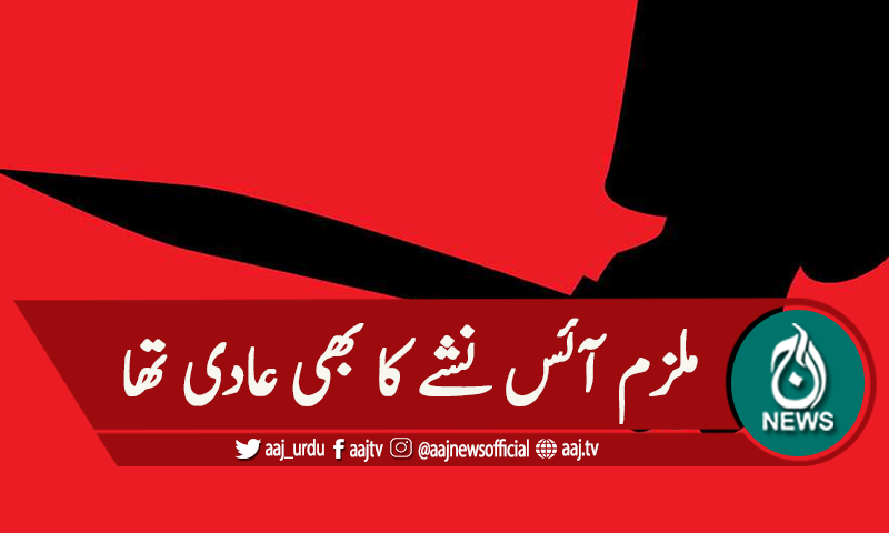 لاہور: پب جی کے شوقین نے بہن اور بھابھی کو قتل کردیا