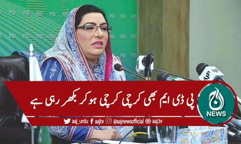 'مریم نواز ریٹائرڈ ہرٹ ہوچکیں'