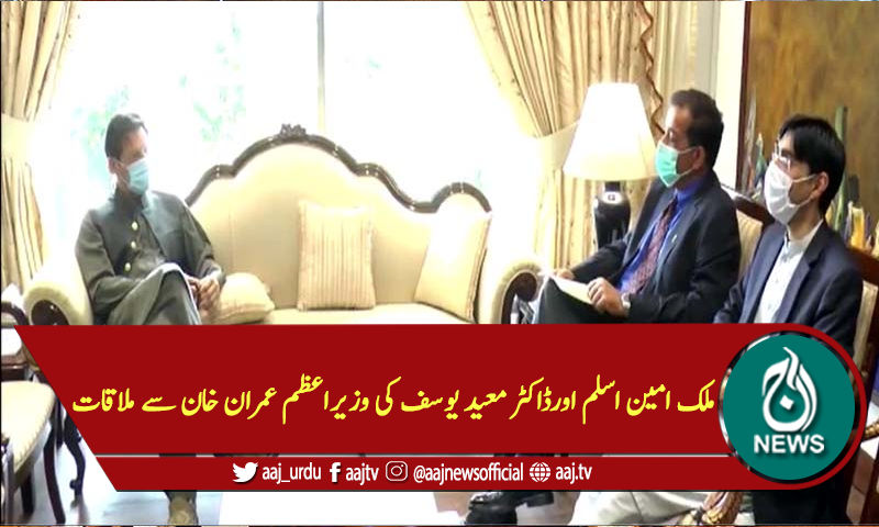 ملک امین اسلم اورڈاکٹر معید یوسف کی وزیراعظم عمران خان سے ملاقات