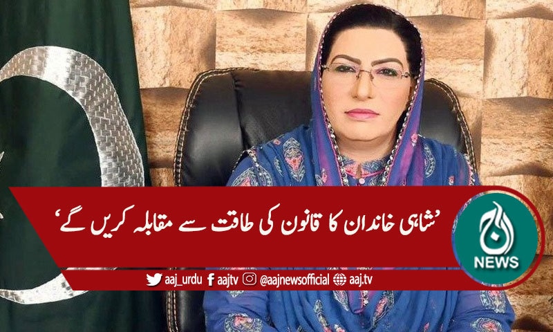 'شہباز شریف خود فرار کی کوششوں میں ہیں '