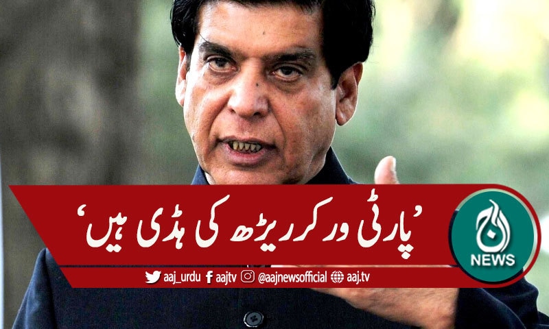 پنجاب میں پارٹی کو متحرک کرنیکا اعلان