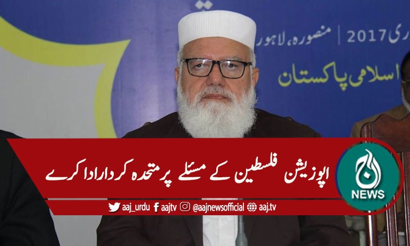 فلسطین ،کشمیر اور افغانستان پر مشترکہ حکمت عملی پر زور