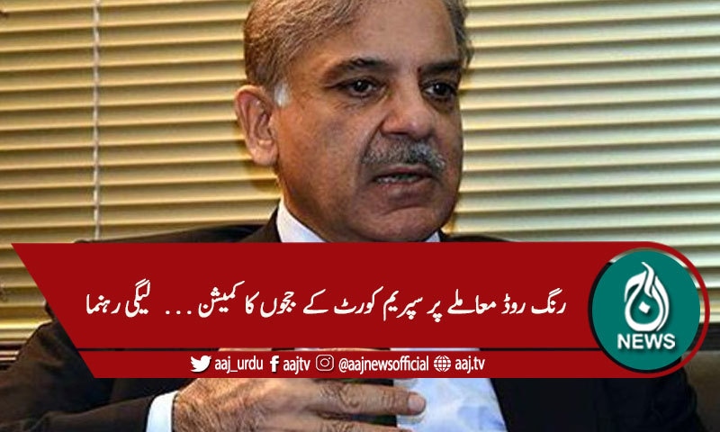 شہباز شریف سے دیگر لیگی رہنماوں کی ملاقات