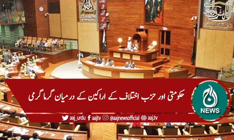 سندھ اسمبلی اجلاس، چیئرمین ارسا کو ہٹانے کا مطالبہ