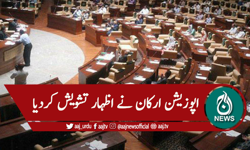 سندھ اسمبلی اجلاس، کراچی میں اسٹریٹ کرائم پر تشویش