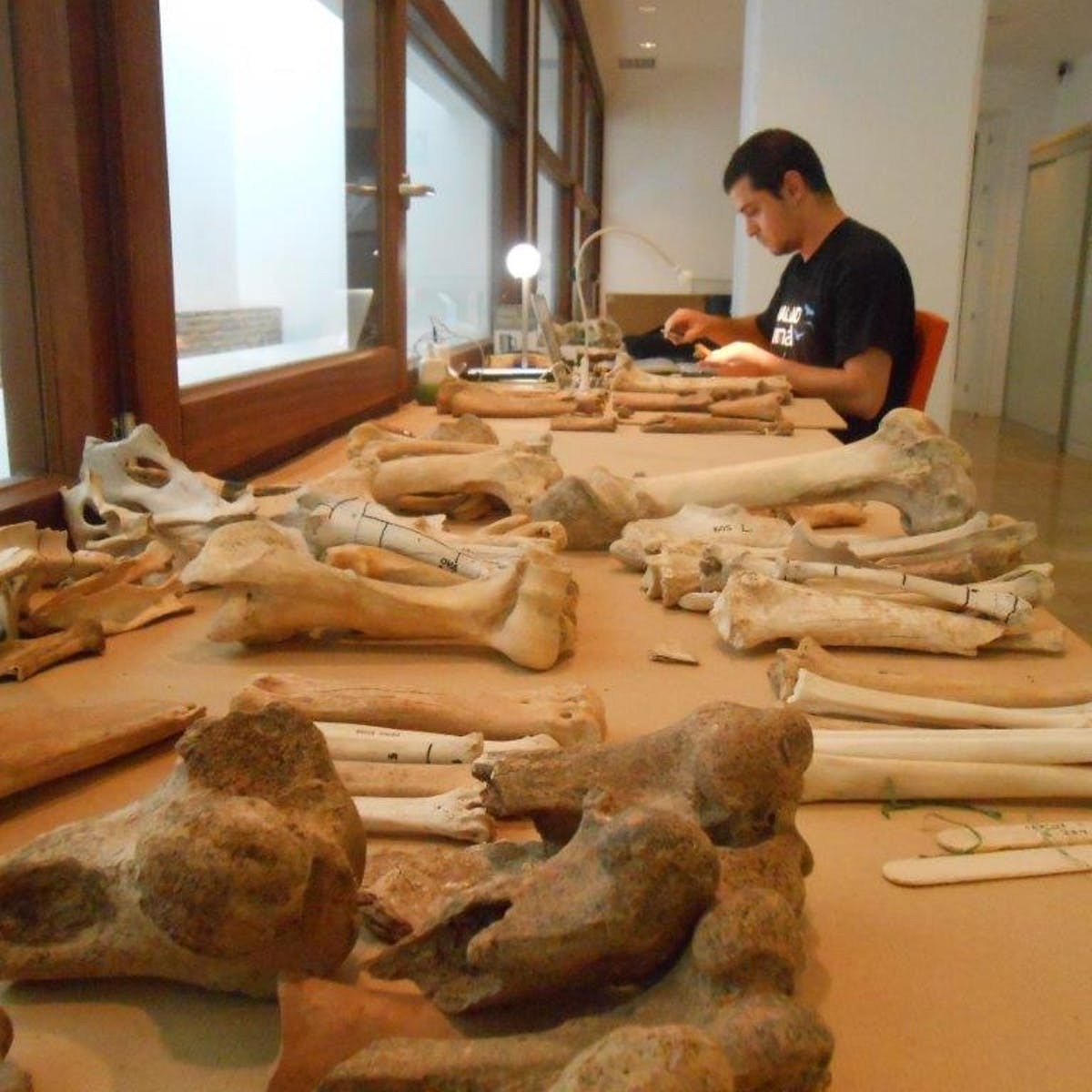 How food waste helped us discover the existence of a Christian community in ancient Islamic Iberia