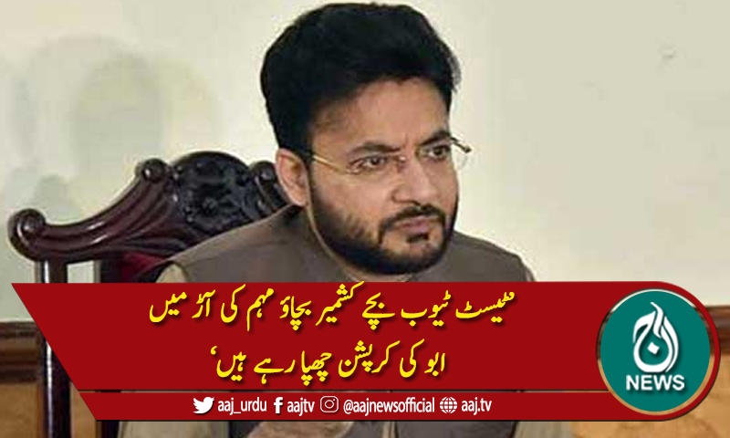 'عمران خان کشمیریوں کے سچے وکیل ہیں'