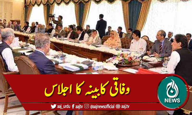 وفاقی کابینہ اجلاس، ٹی ایل پی پر پابندی کا فیصلہ برقرار