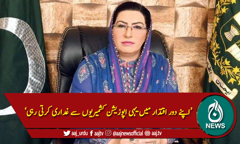 'نابالغ اپوزیشن سے مسئلہ کشمیر کو نقصان پہنچ رہا ہے'